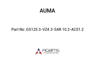 GS125.3-VZ4.3-SAR 10.2-AC01.2