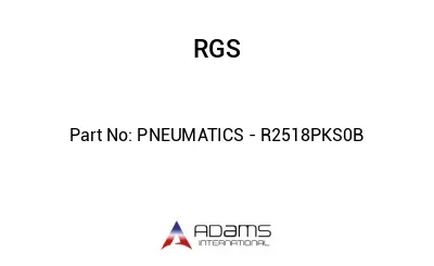 PNEUMATICS - R2518PKS0B