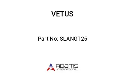 SLANG125