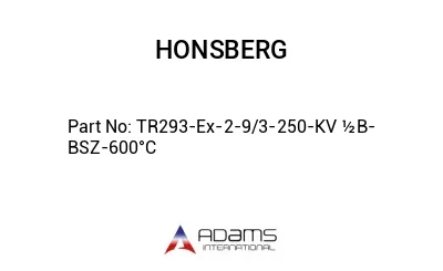 TR293-Ex-2-9/3-250-KV ½B-BSZ-600°C