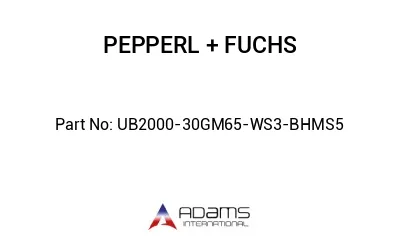 UB2000-30GM65-WS3-BHMS5