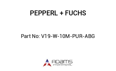 V19-W-10M-PUR-ABG